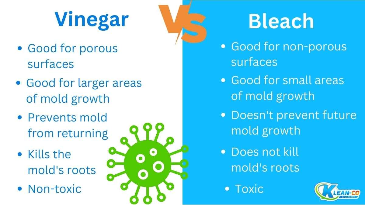 Vinegar to kill mold