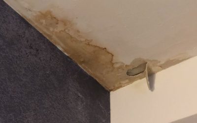 What Causes Water Damage and How to Prevent It